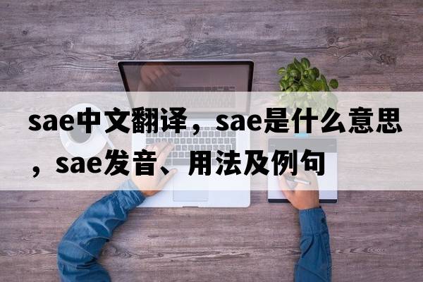 sae中文翻譯，sae是什么意思，sae發(fā)音、用法及例句