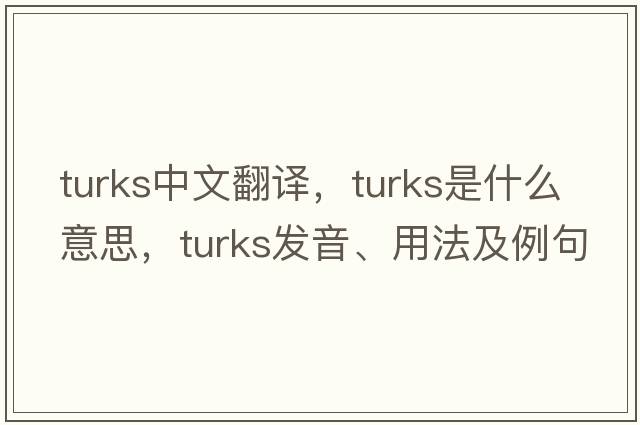 turks中文翻譯，turks是什么意思，turks發(fā)音、用法及例句