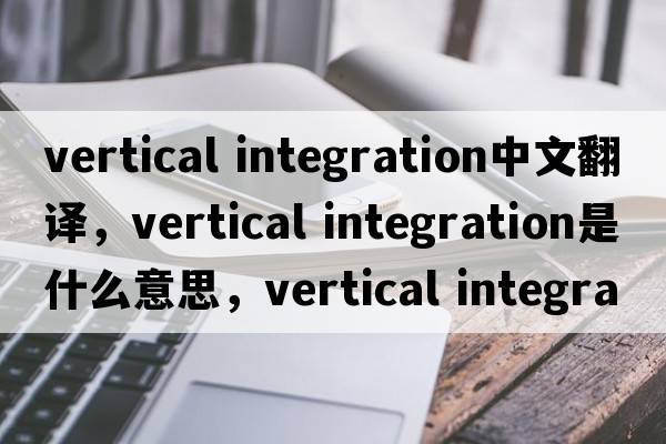 vertical integration中文翻譯，vertical integration是什么意思，vertical integration發(fā)音、用法及例句