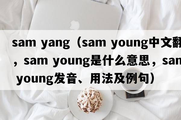 sam yang（sam young中文翻譯，sam young是什么意思，sam young發(fā)音、用法及例句）