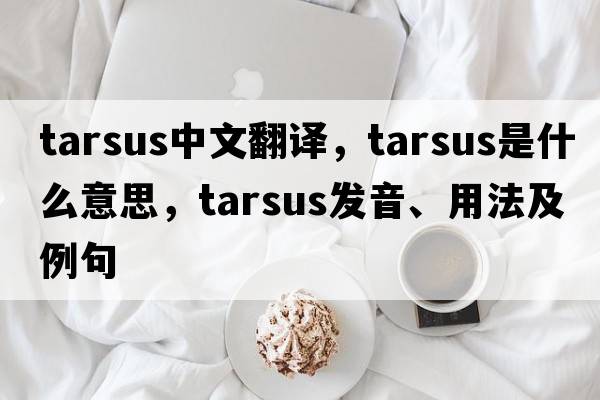 tarsus中文翻譯，tarsus是什么意思，tarsus發(fā)音、用法及例句