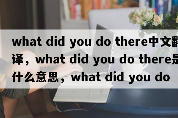 what did you do there中文翻譯，what did you do there是什么意思，what did you do there發(fā)音、用法及例句