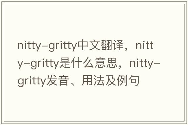 nitty-gritty中文翻譯，nitty-gritty是什么意思，nitty-gritty發(fā)音、用法及例句