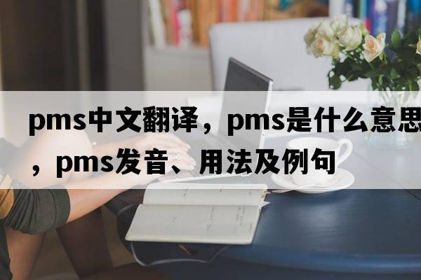 pms中文翻譯，pms是什么意思，pms發(fā)音、用法及例句