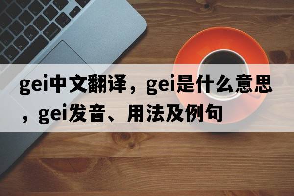 GEI中文翻譯，GEI是什么意思，GEI發(fā)音、用法及例句