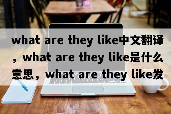 what are they like中文翻譯，what are they like是什么意思，what are they like發(fā)音、用法及例句