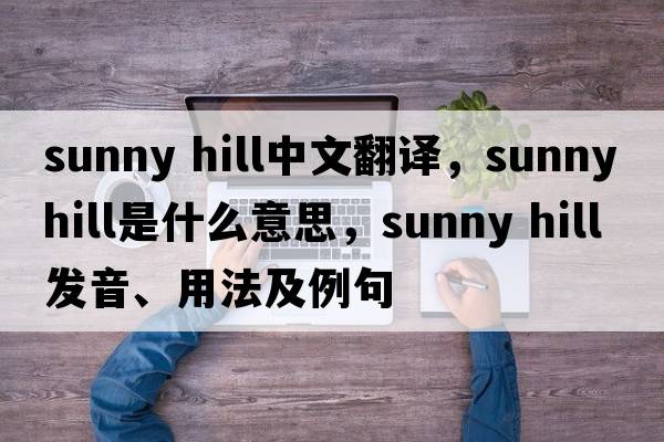 sunny hill中文翻譯，sunny hill是什么意思，sunny hill發(fā)音、用法及例句