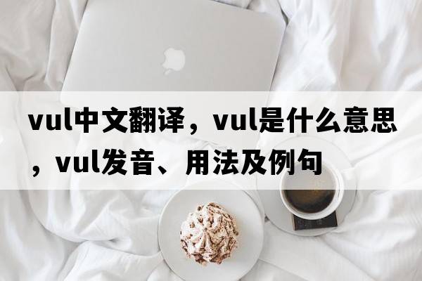 vul中文翻譯，vul是什么意思，vul發(fā)音、用法及例句