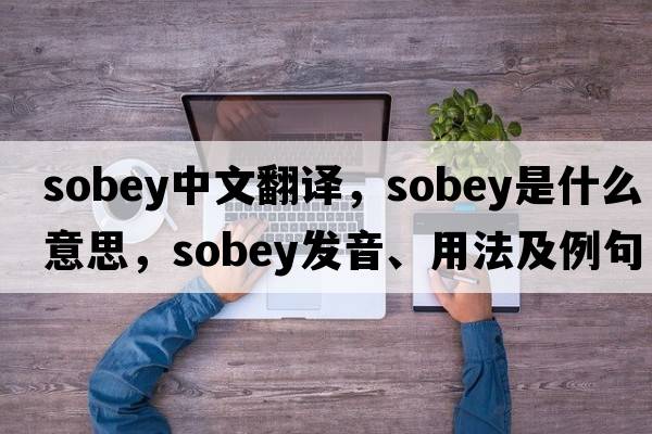 sobey中文翻譯，sobey是什么意思，sobey發(fā)音、用法及例句