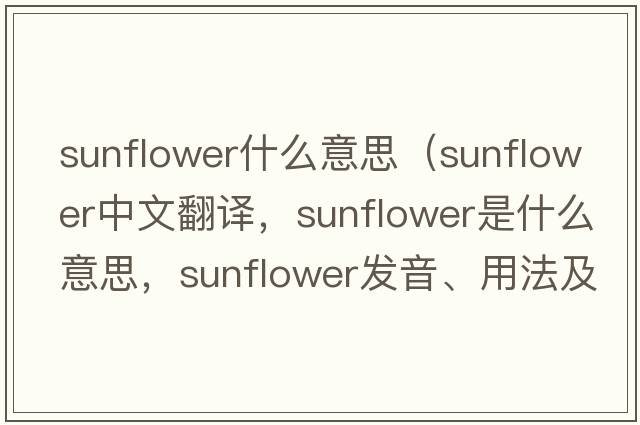 sunflower什么意思（sunflower中文翻譯，sunflower是什么意思，sunflower發(fā)音、用法及例句）