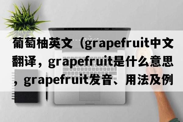 葡萄柚英文（grapefruit中文翻譯，grapefruit是什么意思，grapefruit發(fā)音、用法及例句）
