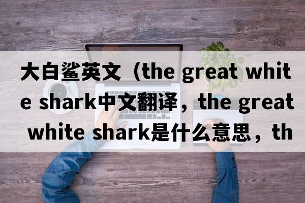 大白鯊英文（the great white shark中文翻譯，the great white shark是什么意思，the great white shark發(fā)音、用法及例句）