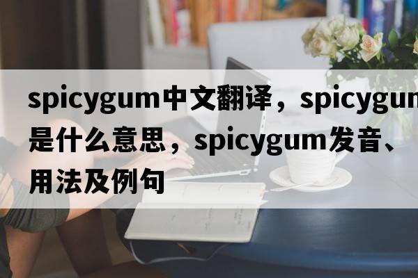 spicygum中文翻譯，spicygum是什么意思，spicygum發(fā)音、用法及例句