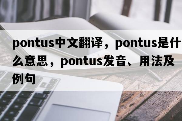 Pontus中文翻譯，Pontus是什么意思，Pontus發(fā)音、用法及例句