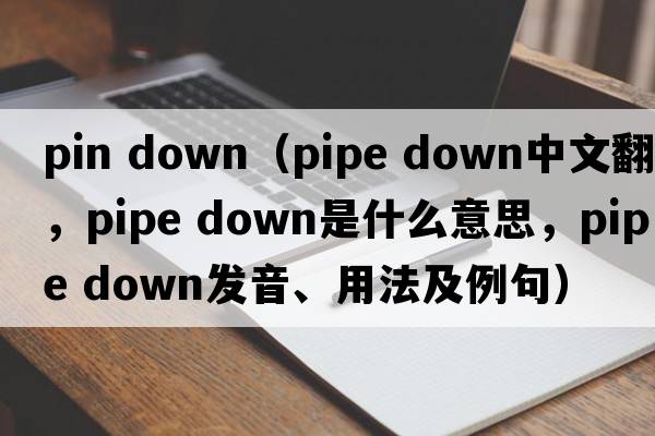 pin down（pipe down中文翻譯，pipe down是什么意思，pipe down發(fā)音、用法及例句）