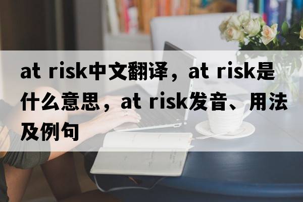at risk中文翻譯，at risk是什么意思，at risk發(fā)音、用法及例句