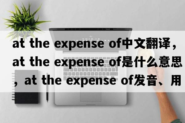 at the expense of中文翻譯，at the expense of是什么意思，at the expense of發(fā)音、用法及例句