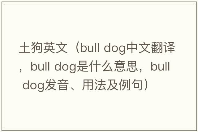 土狗英文（bull dog中文翻譯，bull dog是什么意思，bull dog發(fā)音、用法及例句）