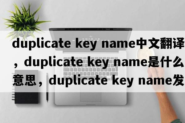 duplicate key name中文翻譯，duplicate key name是什么意思，duplicate key name發(fā)音、用法及例句