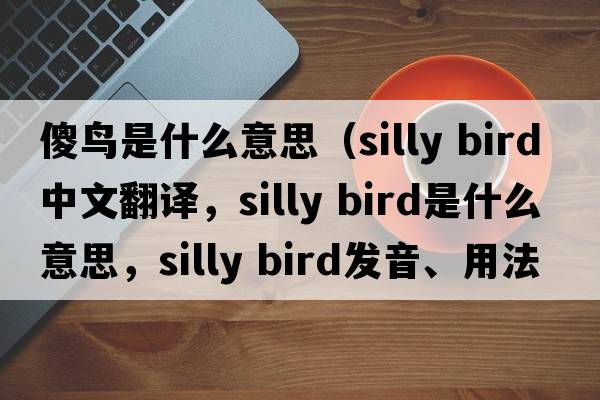 傻鳥是什么意思（silly bird中文翻譯，silly bird是什么意思，silly bird發(fā)音、用法及例句）
