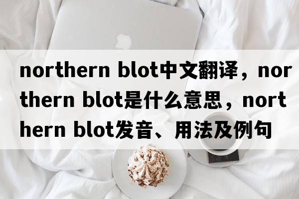 northern blot中文翻譯，northern blot是什么意思，northern blot發(fā)音、用法及例句