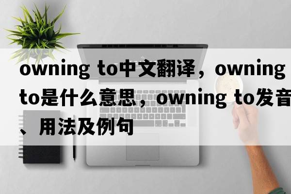 owning to中文翻譯，owning to是什么意思，owning to發(fā)音、用法及例句