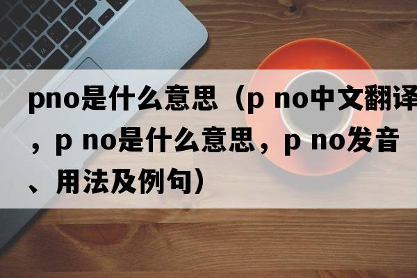 pno是什么意思（p no中文翻譯，p no是什么意思，p no發(fā)音、用法及例句）