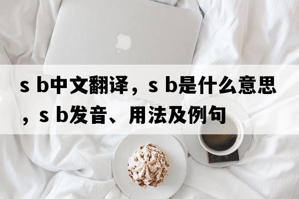 s b中文翻譯，s b是什么意思，s b發(fā)音、用法及例句