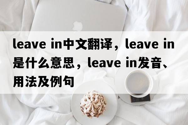 leave in中文翻譯，leave in是什么意思，leave in發(fā)音、用法及例句