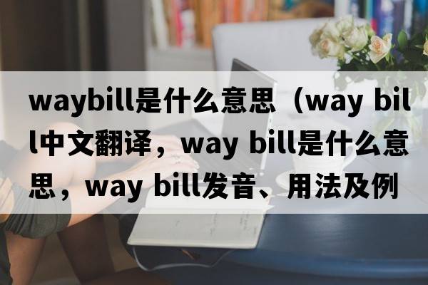 waybill是什么意思（way bill中文翻譯，way bill是什么意思，way bill發(fā)音、用法及例句）