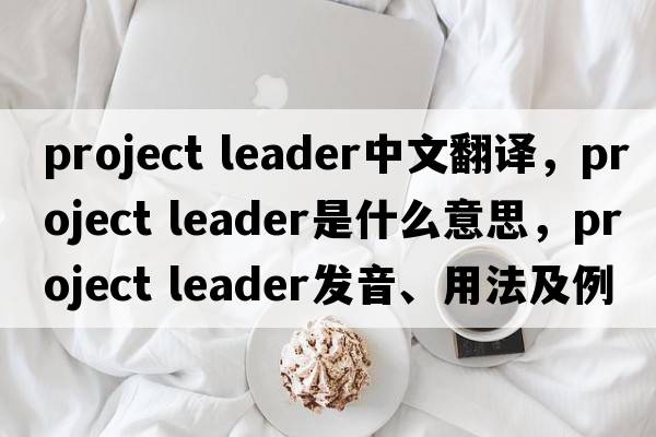 project leader中文翻譯，project leader是什么意思，project leader發(fā)音、用法及例句
