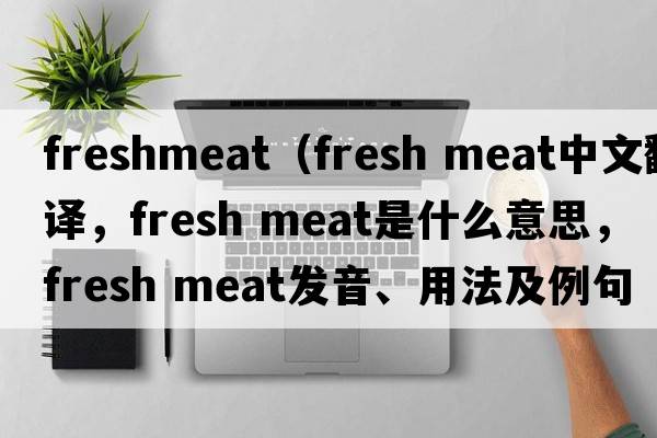 freshmeat（fresh meat中文翻譯，fresh meat是什么意思，fresh meat發(fā)音、用法及例句）