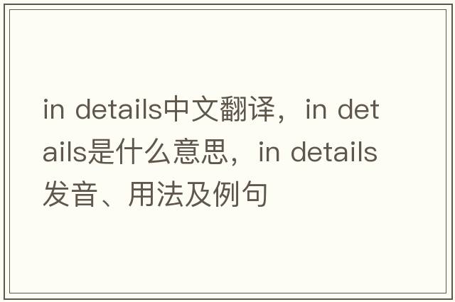 in details中文翻譯，in details是什么意思，in details發(fā)音、用法及例句