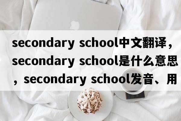 secondary school中文翻譯，secondary school是什么意思，secondary school發(fā)音、用法及例句
