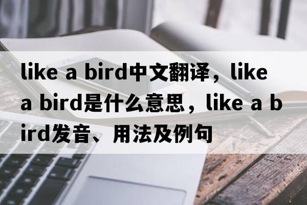 like a bird中文翻譯，like a bird是什么意思，like a bird發(fā)音、用法及例句