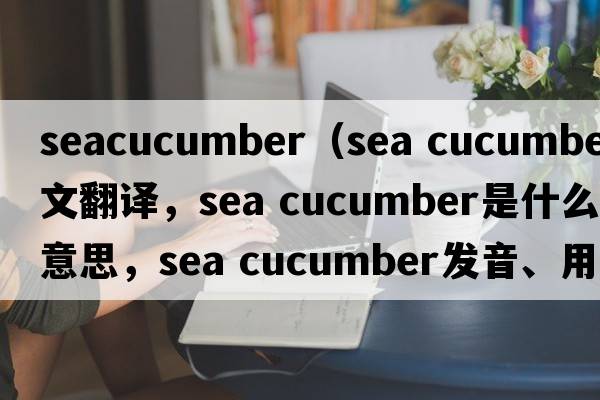 seacucumber（sea cucumber中文翻譯，sea cucumber是什么意思，sea cucumber發(fā)音、用法及例句）
