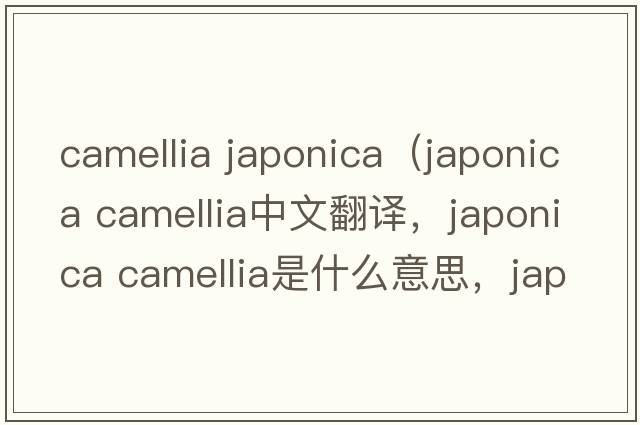 camellia japonica（japonica camellia中文翻譯，japonica camellia是什么意思，japonica camellia發(fā)音、用法及例句）