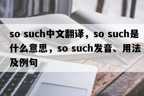 so such中文翻譯，so such是什么意思，so such發(fā)音、用法及例句