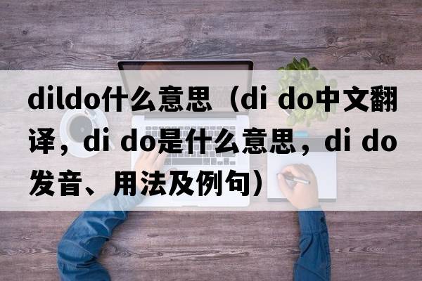 dildo什么意思（DI DO中文翻譯，DI DO是什么意思，DI DO發(fā)音、用法及例句）