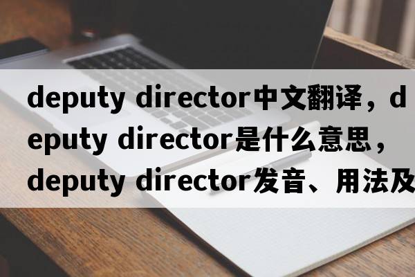 deputy director中文翻譯，deputy director是什么意思，deputy director發(fā)音、用法及例句
