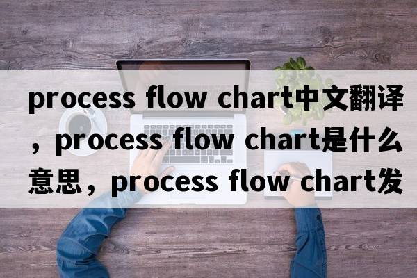 process flow chart中文翻譯，process flow chart是什么意思，process flow chart發(fā)音、用法及例句