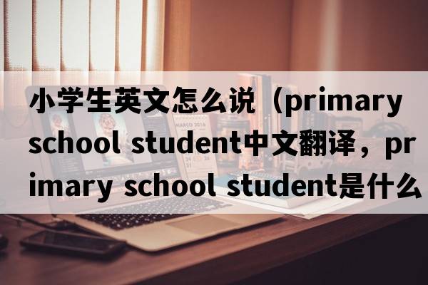 小學(xué)生英文怎么說（primary school student中文翻譯，primary school student是什么意思，primary school student發(fā)音、用法及例句）