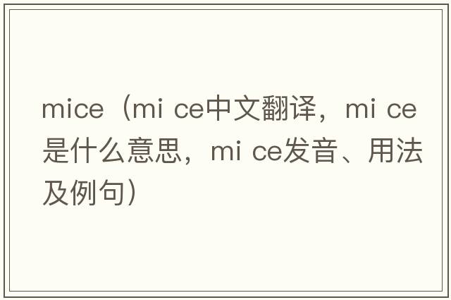 mice（mi ce中文翻譯，mi ce是什么意思，mi ce發(fā)音、用法及例句）