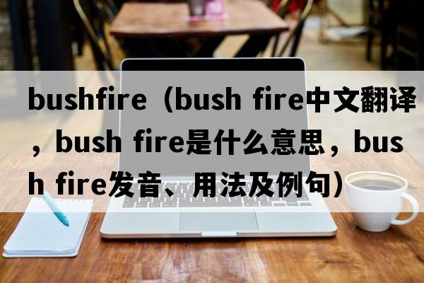 bushfire（bush fire中文翻譯，bush fire是什么意思，bush fire發(fā)音、用法及例句）