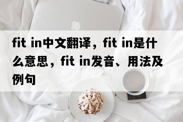 fit in中文翻譯，fit in是什么意思，fit in發(fā)音、用法及例句