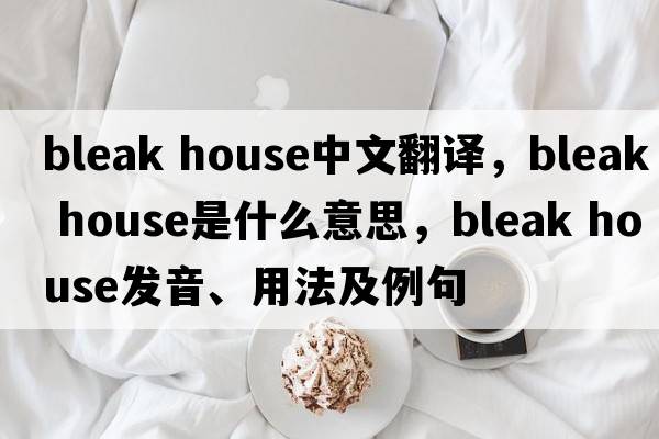 bleak house中文翻譯，bleak house是什么意思，bleak house發(fā)音、用法及例句