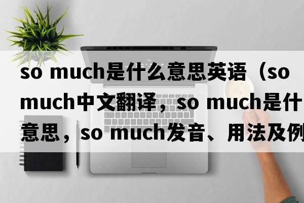 so much是什么意思英語（So much中文翻譯，So much是什么意思，So much發(fā)音、用法及例句）