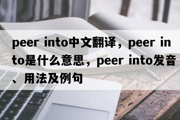 peer into中文翻譯，peer into是什么意思，peer into發(fā)音、用法及例句