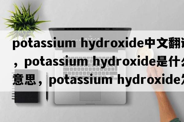 potassium hydroxide中文翻譯，potassium hydroxide是什么意思，potassium hydroxide發(fā)音、用法及例句