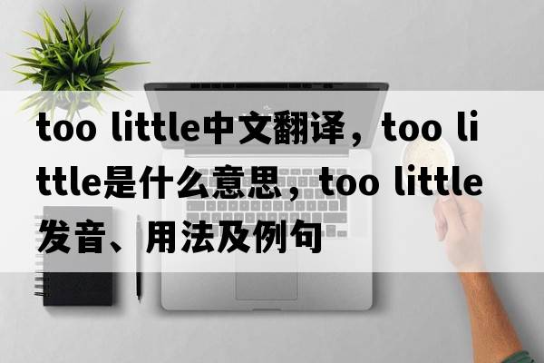 too little中文翻譯，too little是什么意思，too little發(fā)音、用法及例句